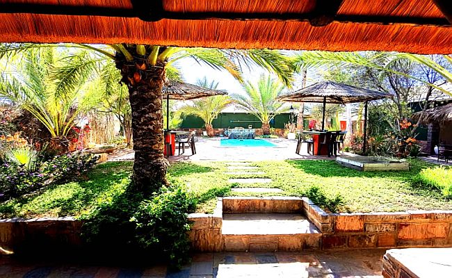 Garden
